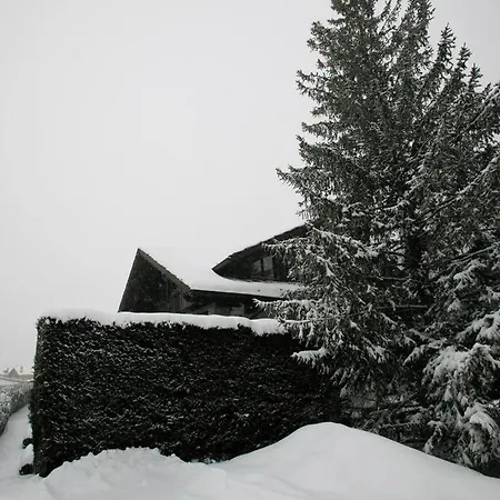 Lovely With Breathtaking View Of Mont Blanc Courmayeur