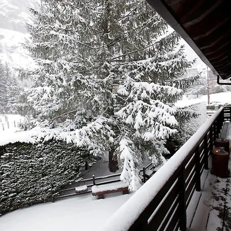 Lovely With Breathtaking View Of Mont Blanc Appartement *